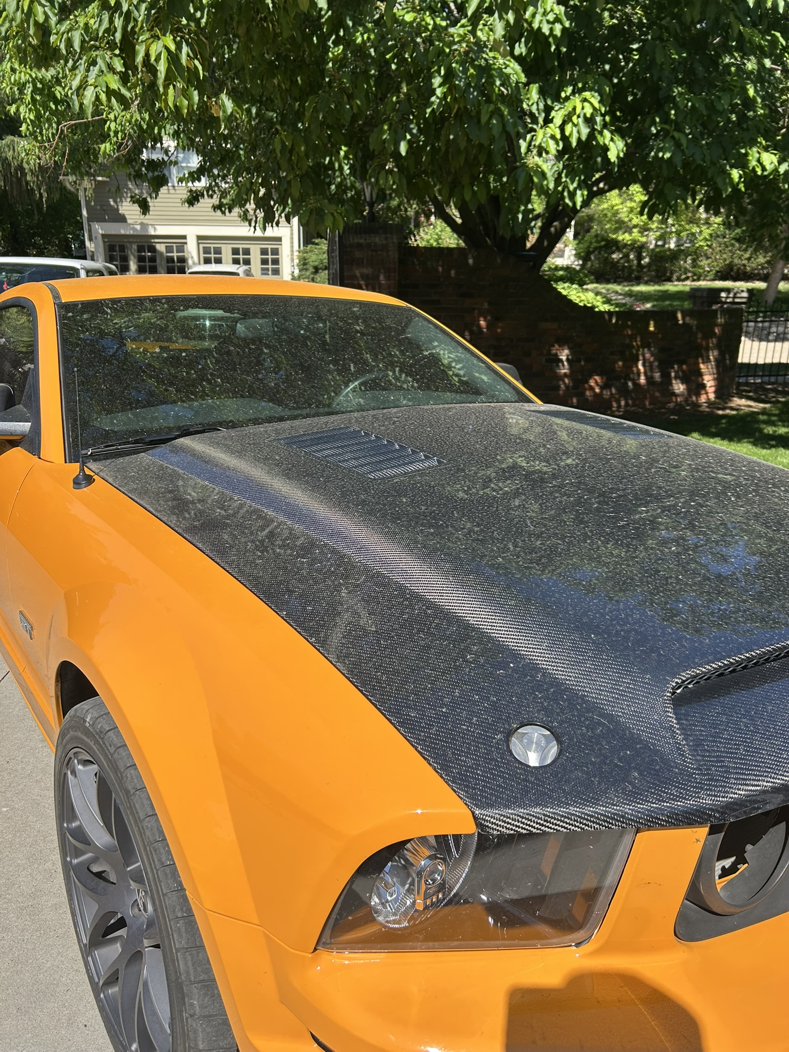 Carbon fiber paint protection film applied to a vehicle hood after paint correction service